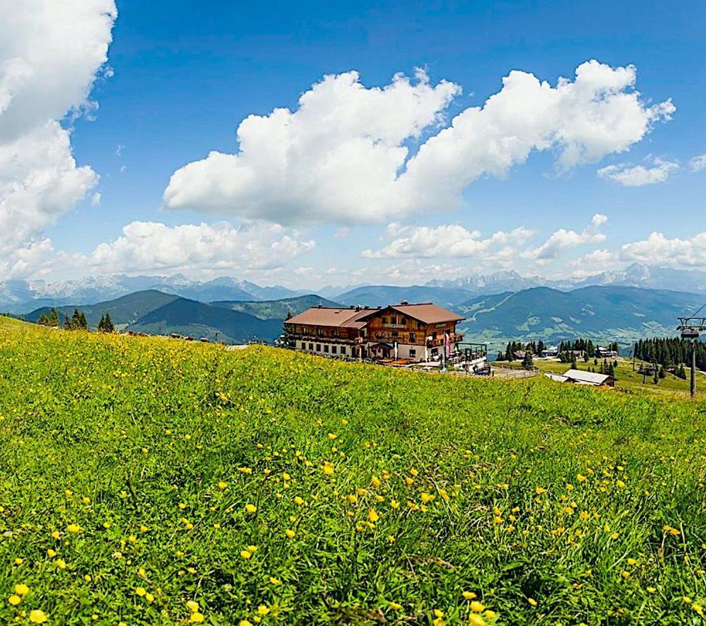 Gasthof Jandlalm Flachau Dış mekan fotoğraf