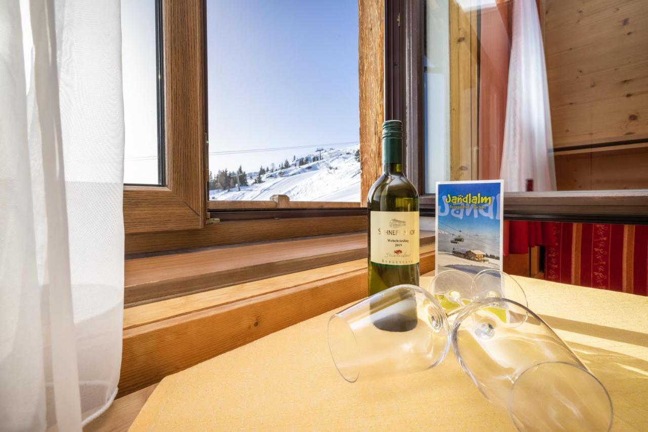 Gasthof Jandlalm Flachau Dış mekan fotoğraf