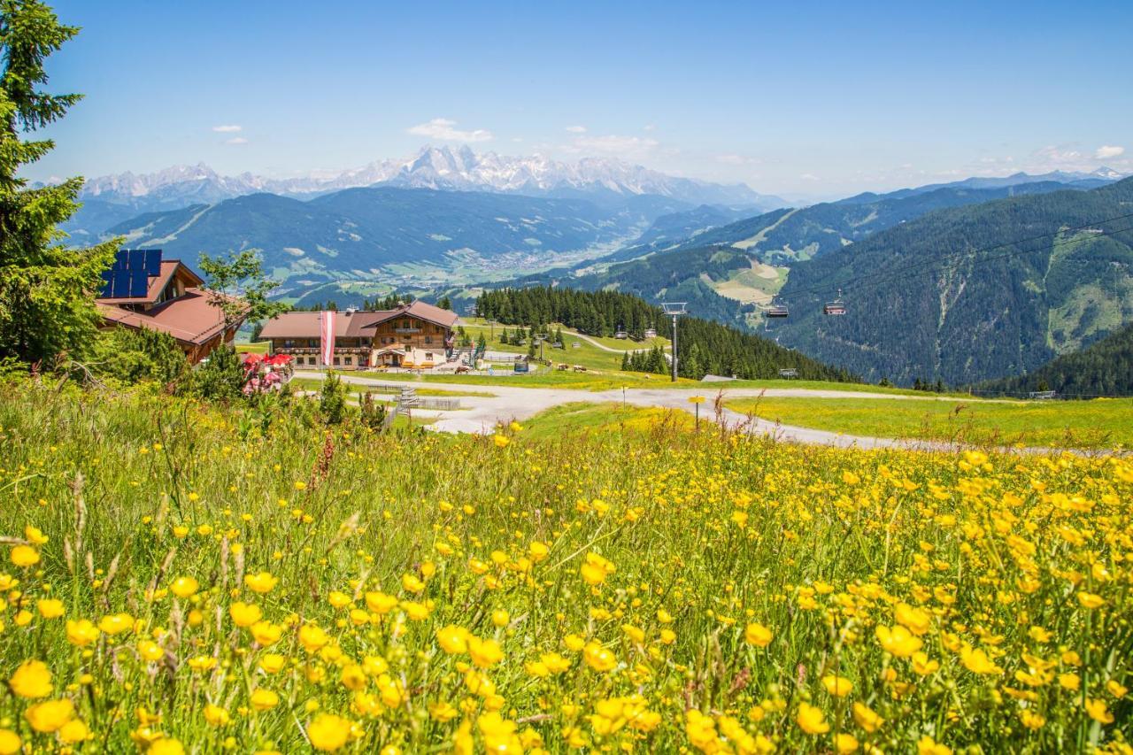 Gasthof Jandlalm Flachau Dış mekan fotoğraf