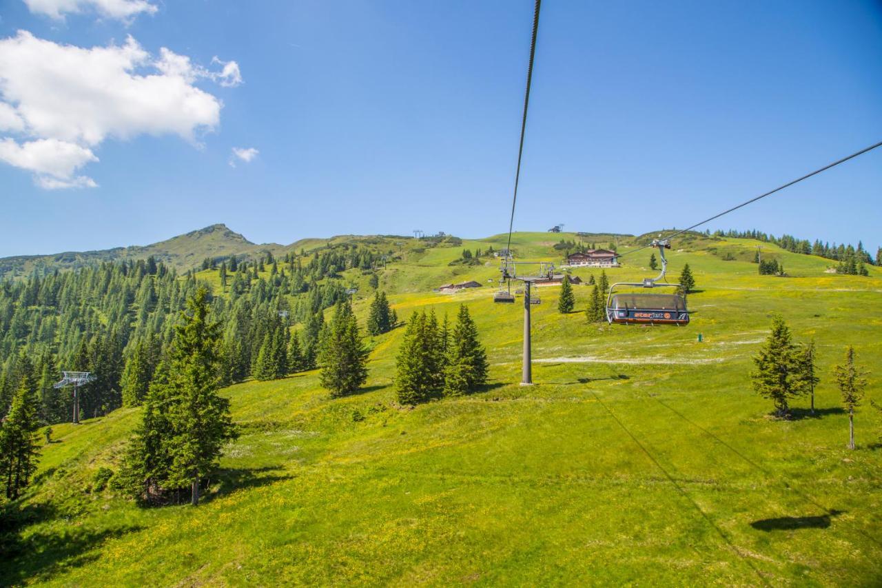 Gasthof Jandlalm Flachau Dış mekan fotoğraf